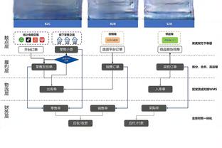 内文：蓝军与两年前完全不同，买一大堆无英超经验的球员很疯狂